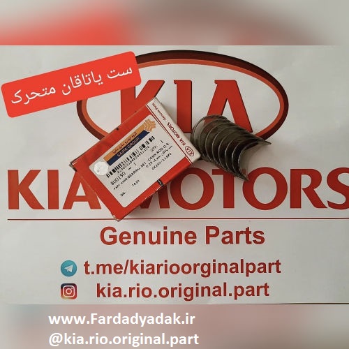 ست یاتاقان متحرک 0.25 ریو کیاموتورز(جینیون پارت)