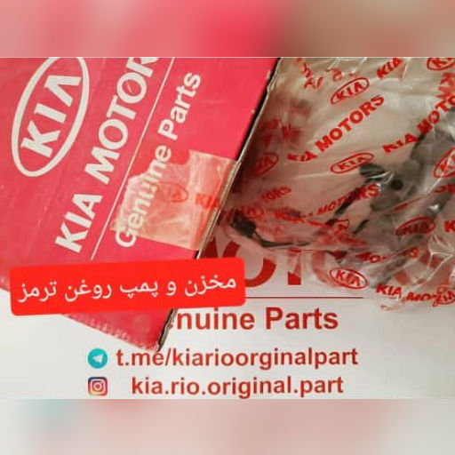 پمپ و مخزن روغن ترمز ریو کیاموتورز(جینیون پارت)